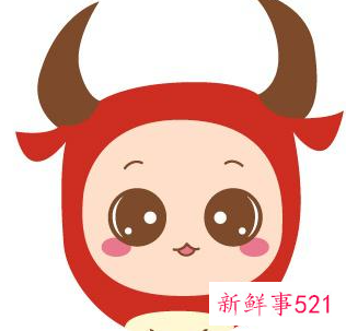 各方面都很优秀的星座男