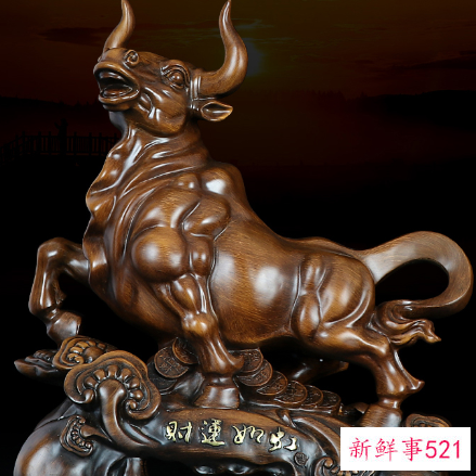 生肖牛的办公室应该怎样布局风水会好