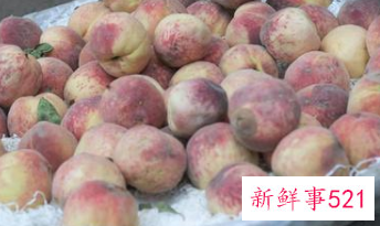 新鲜蔬菜的营养价值