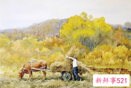 2021年秋收在什么时候