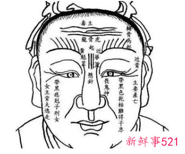 面相上看什么男人能赚大钱