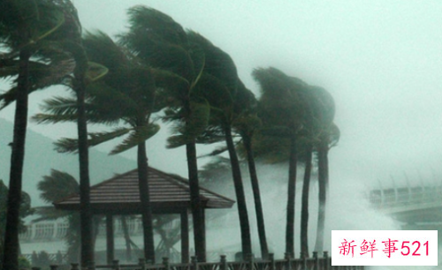 梦见房子被大火烧了预示什么