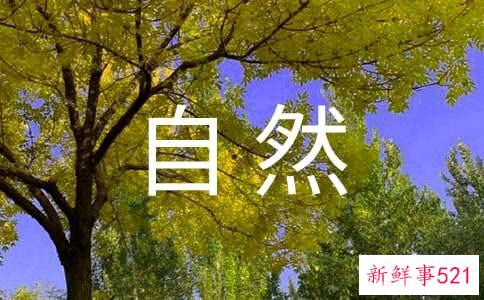 尿道灼痛会自然好吗