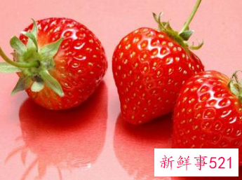 新鲜蔬菜的营养价值