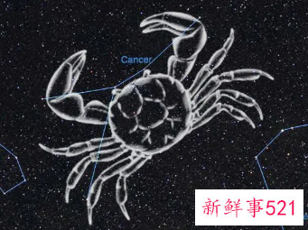 双鱼座的钱都花在了什么地方