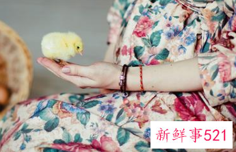 孕产妇的饮食注意事项