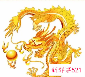 属龙的家里摆什么招财