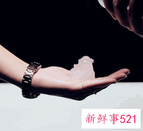 二十四节气小雪主题活动