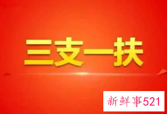2022河北三支一扶面试时间