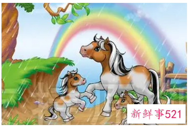 属马的开店朝哪个方向最好