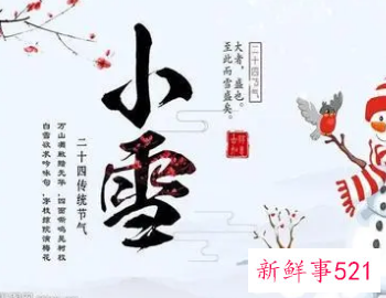 二十四节气小雪主题活动