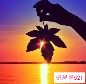 这样做你的生活更美妙