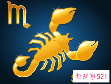 属猪天蝎男喜欢的女人