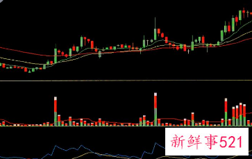 XD在股票里代表什么