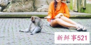 拍照姿势怎么摆女生两人