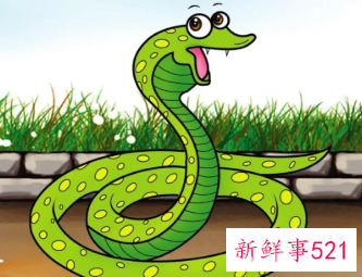 梦见小绿蛇的周公解梦