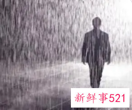 梦见被雨淋湿是什么寓意