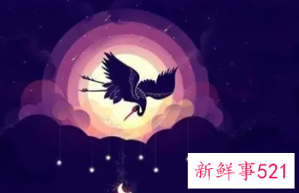 各方面都很优秀的星座男