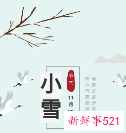 二十四节气小雪主题活动