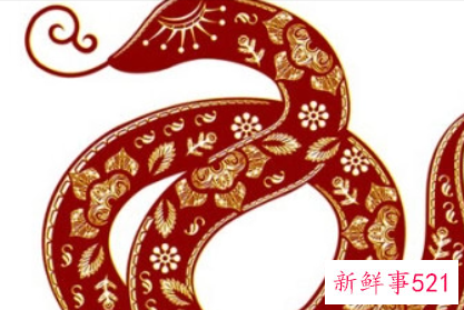 让属蛇人更爱你的秘诀