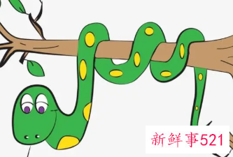 梦见小绿蛇的周公解梦