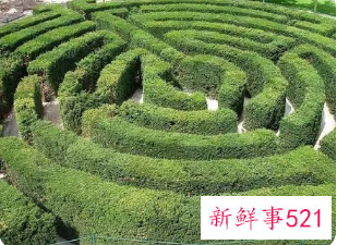 梦见迷宫有什么意思