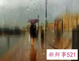 梦见被雨淋湿是什么寓意