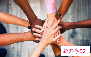 销售组长怎么带团队