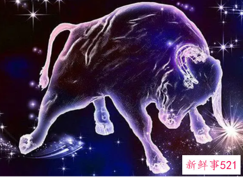 十二星座一生财运排行榜