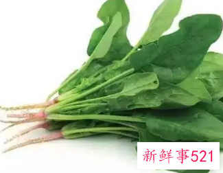 菠菜的搭配禁忌