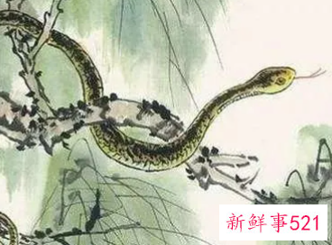 让属蛇人更爱你的秘诀