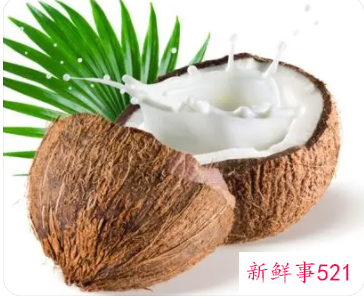 红椰子的功效与作用