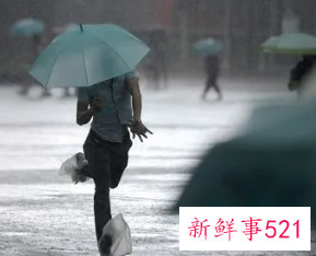 梦见被雨淋湿是什么寓意