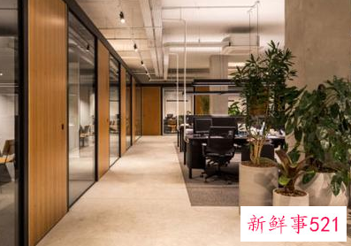 什么样的办公室风水可以升职加薪