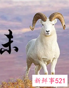 羊人微信名字四个字