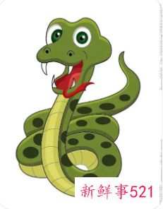 已婚男人梦见蛇是妻子要怀孕了吗