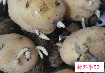 这样做你的生活更美妙