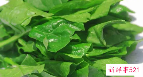 吃木耳菜的好处