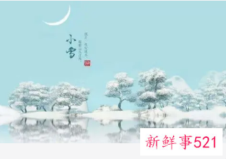 二十四节气小雪主题活动