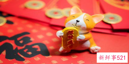 属狗的运势和财运