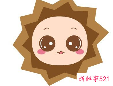 各方面都很优秀的星座男