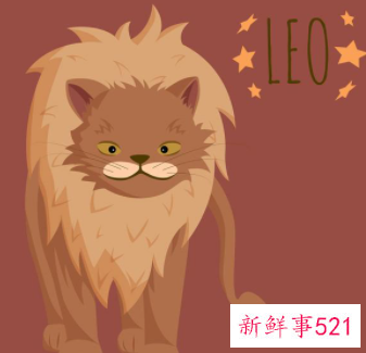 各方面都很优秀的星座男