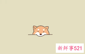 适合女生网名大全可爱