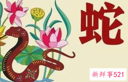 属猪女跟属蛇男可以结婚吗