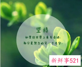 激励正能量口号