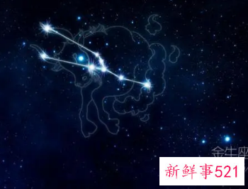 哪个星座对老婆最好