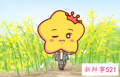 2022巨蟹座女全年运势