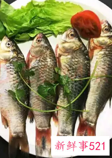 经常吃鱼有什么好处有什么坏处