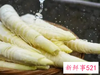 男人吃竹笋影响性功能吗