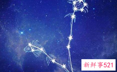 心比天高很难实现的星座